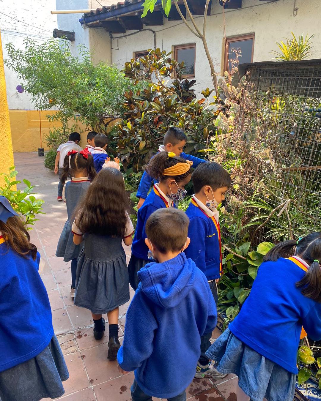 PREESCOLAR CAPULLITO - Escuelas MX